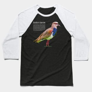 Southern lapwing tropical bird white text Baseball T-Shirt